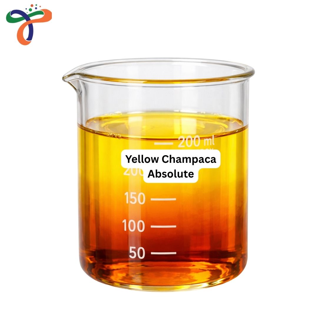 Yellow Champaca Absolute